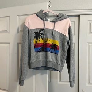 Anine Bing hoodie